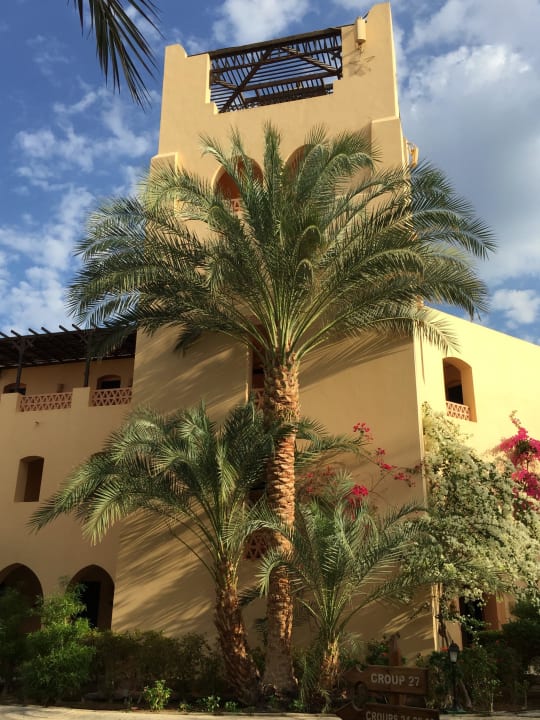 Aussichtspunkt Steigenberger Coraya Beach - Adults only