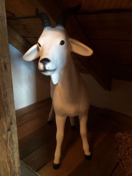 Zimmer Zeit & Traum  Hotel