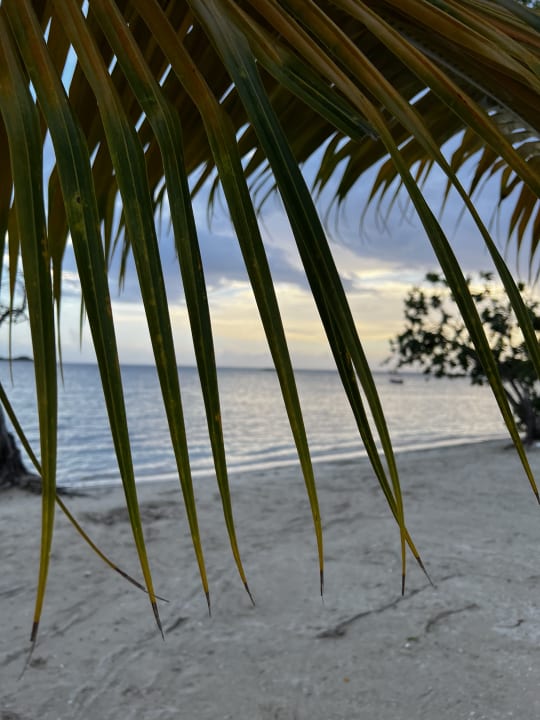 Strand Hotel Riu Negril
