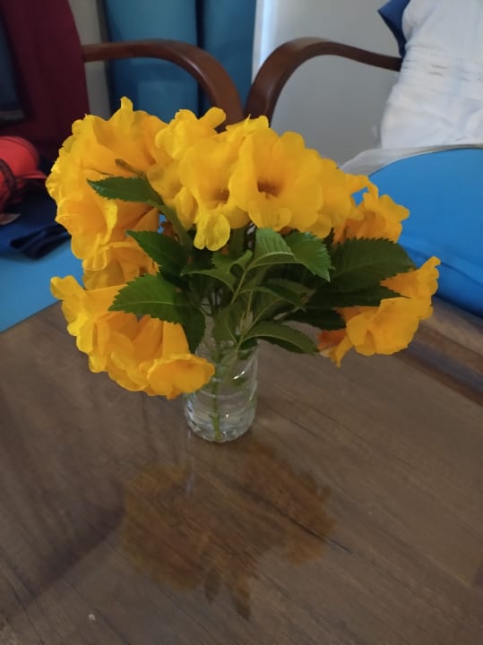 Zimmer Lazuli Hotel Marsa Alam