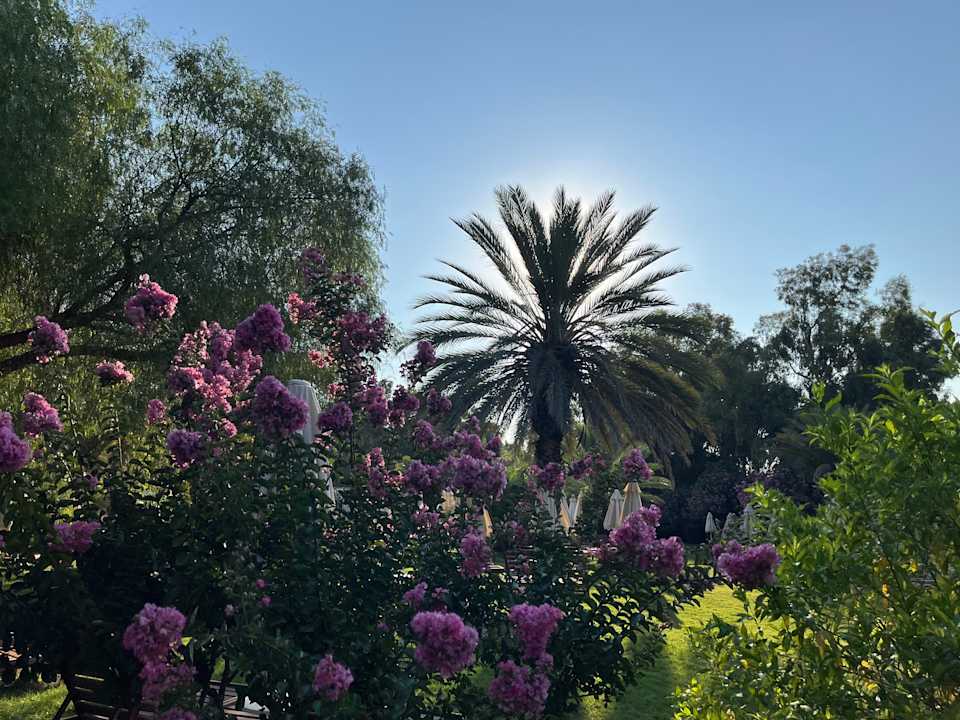 Gartenanlage TUI MAGIC LIFE Sarigerme