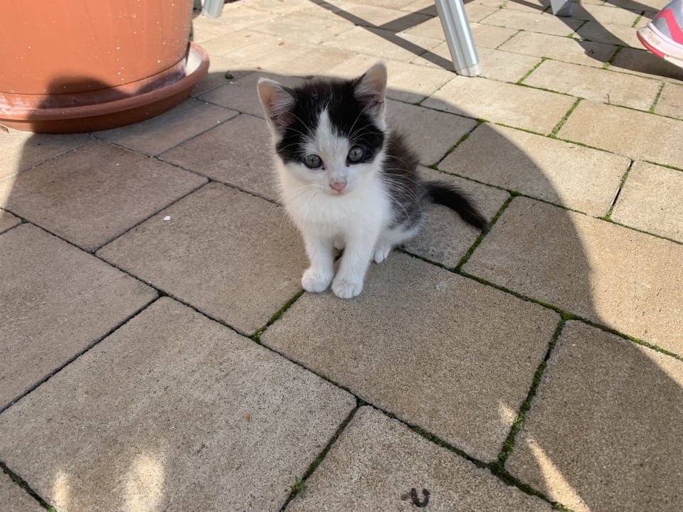 Sonstiges Ferienhof - Bauernhof Hefele