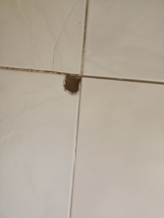 Zimmer Ghazala Gardens