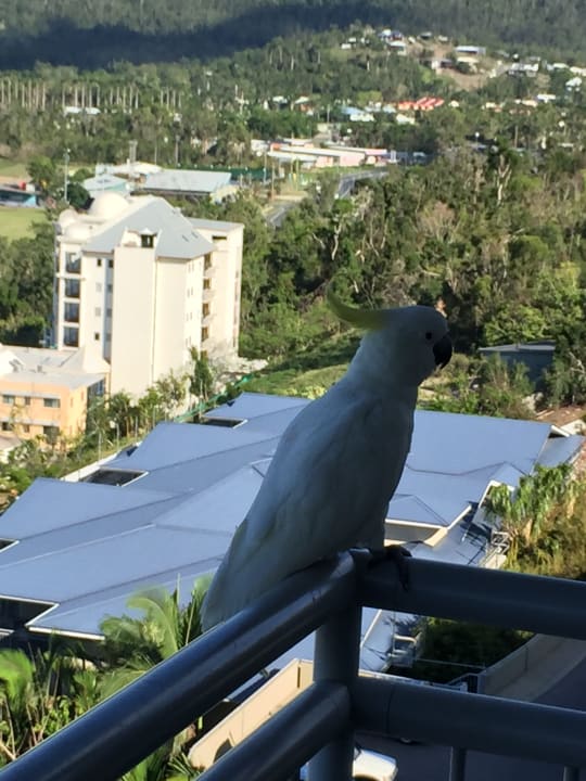 Ausblick Hotel Peppers Coral Coast