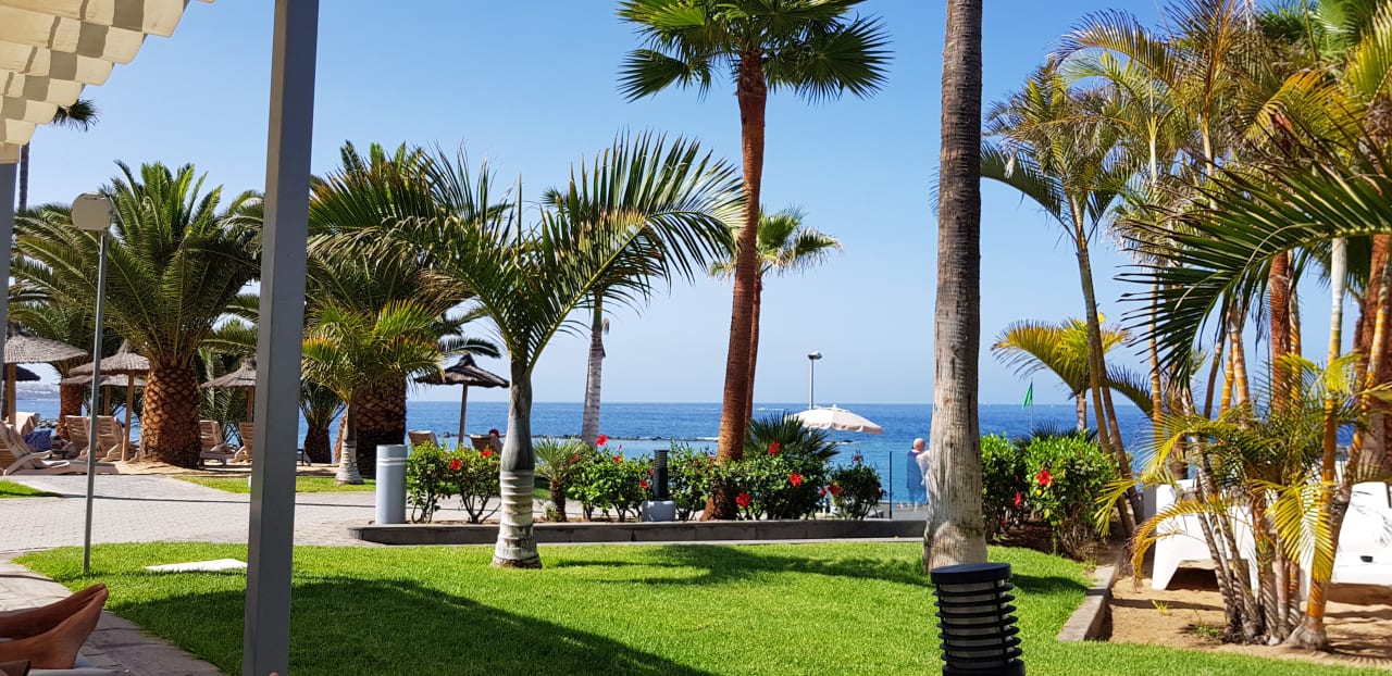 Gartenanlage Hotel Riu Palace Tenerife