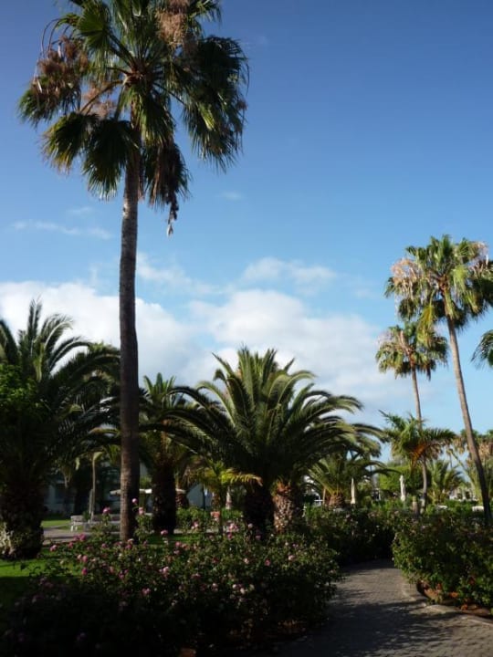 Riu Gran Canaria Hotel Riu Gran Canaria