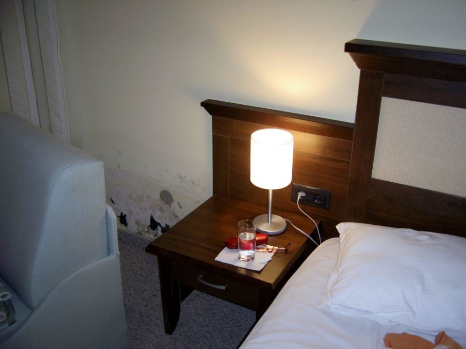 Schimmel an der Zimmerwand Hotel Lion Sunny Beach