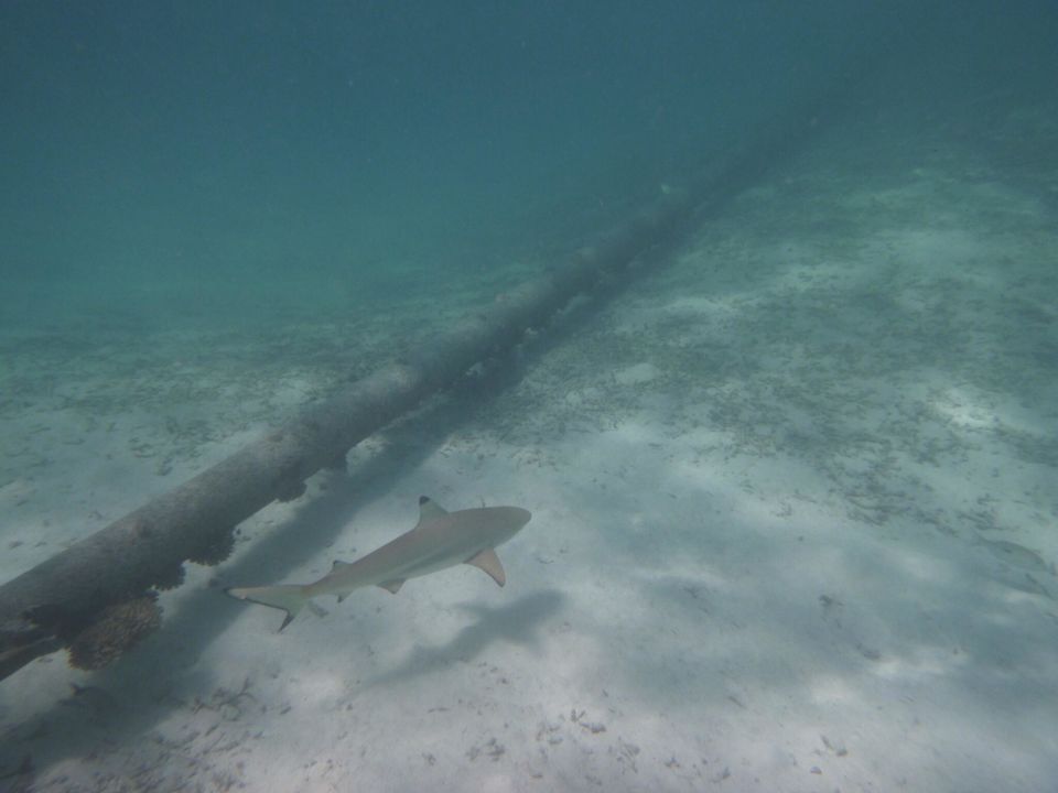 Strand Meeru Maldives Resort Island