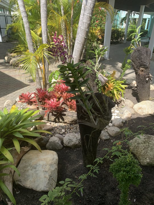 Gartenanlage Grand Paradise Playa Dorada