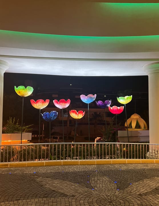 Sonstiges Side Alegria Hotel & Spa - Adults only +16