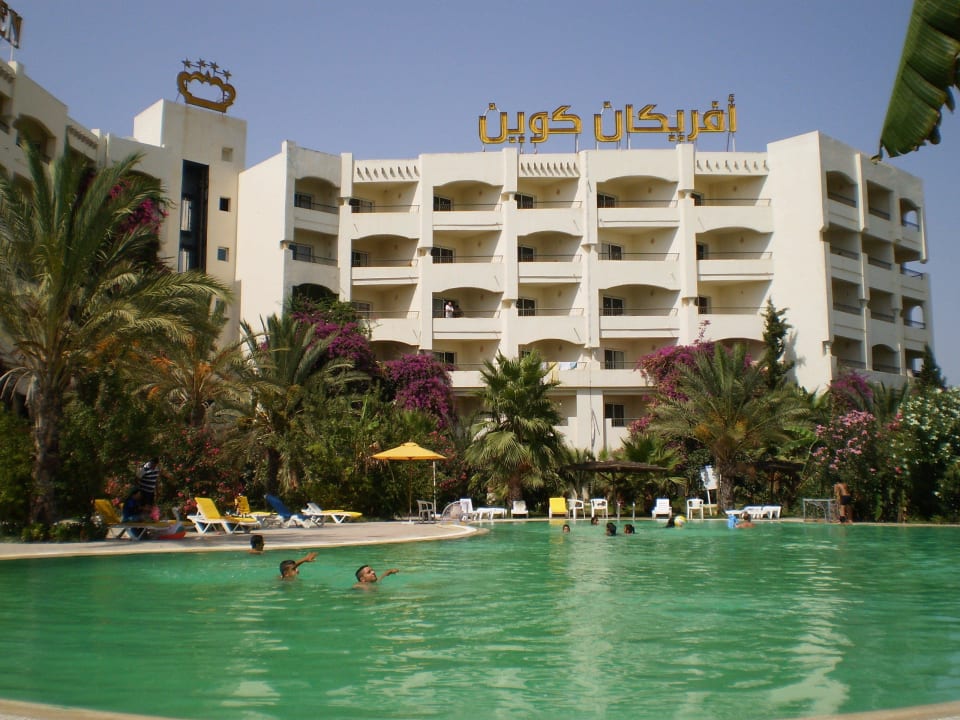 Grünes Wasser im Pool Hotel African Queen