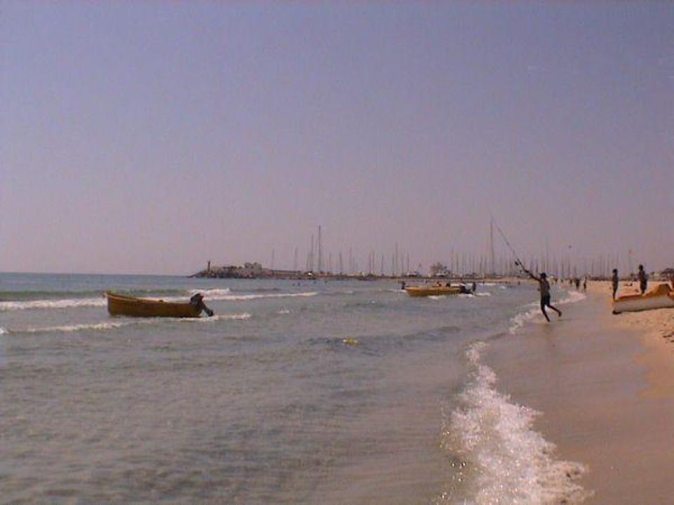 Plaża hotelowa Hotel Aqua Life Yasmine