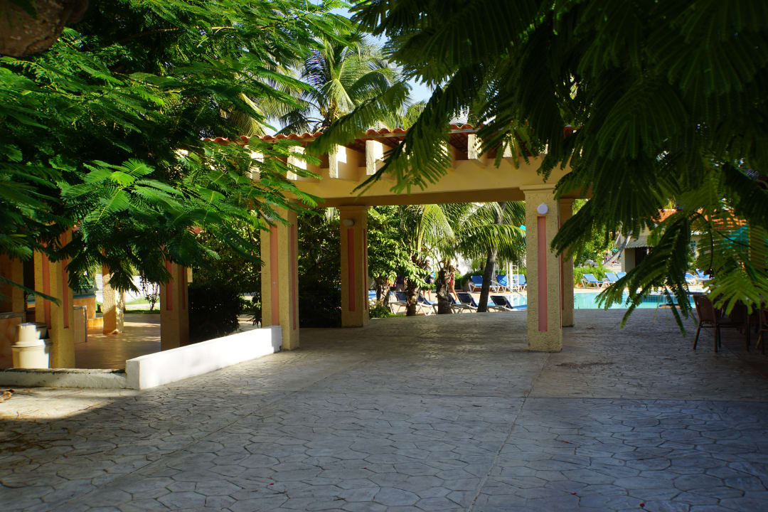 Gartenanlage Hotel Roc Barlovento