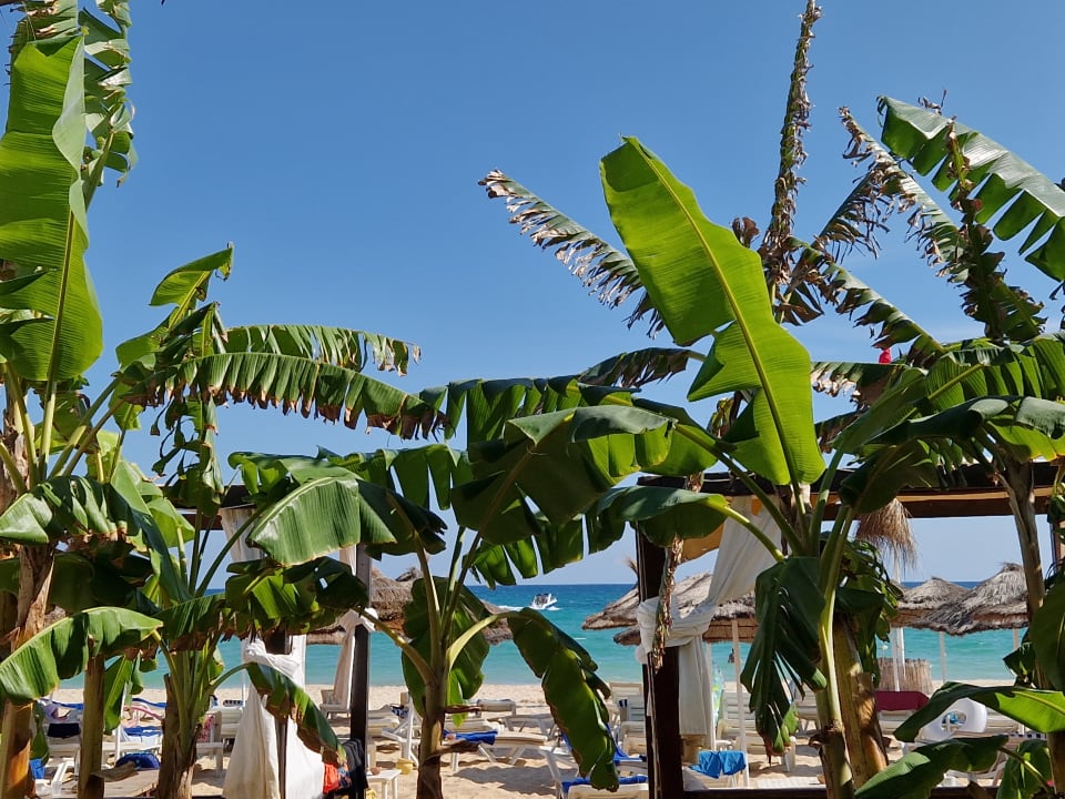 Strand Hotel Royal Nozha