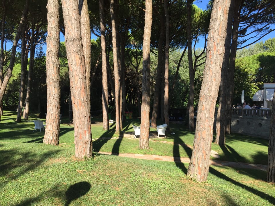 Gartenanlage Hotel Beau Rivage Pineta