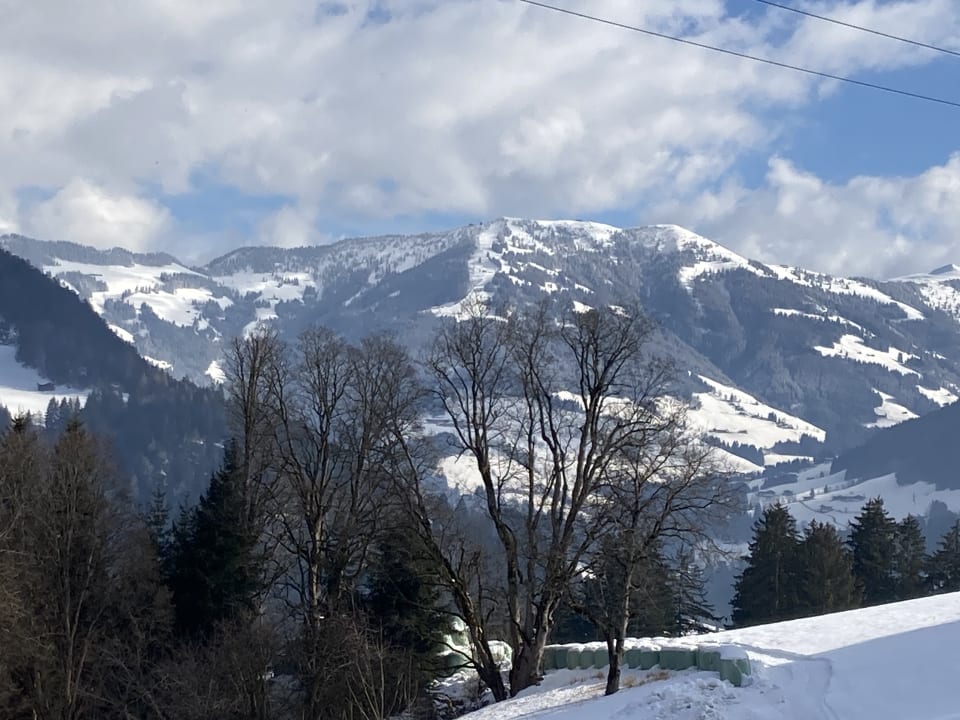 Ausblick Hotel Pirchnerhof