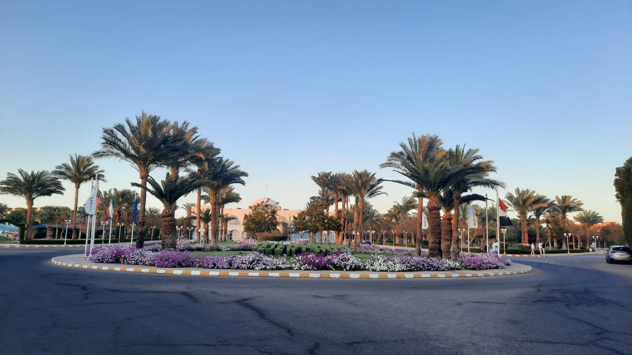 Außenansicht Desert Rose