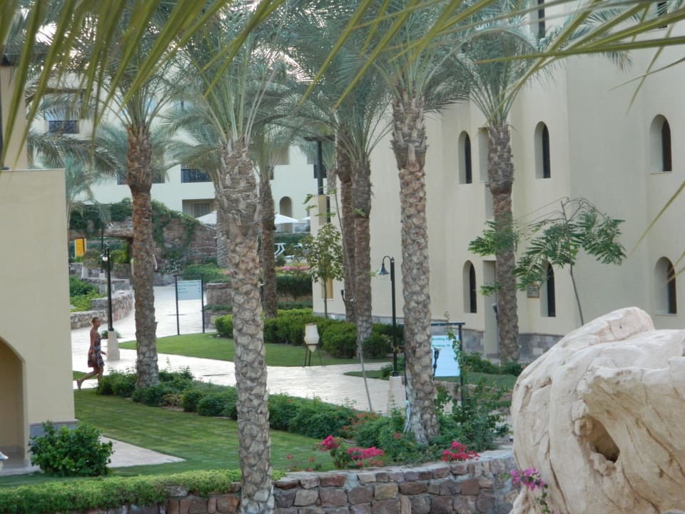 Территория - 2 линия Stella Garden Resort & Spa, Makadi Bay