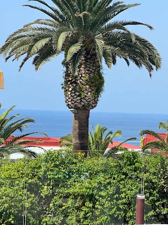 Pool Aldiana Club Rocca Nettuno Calabria