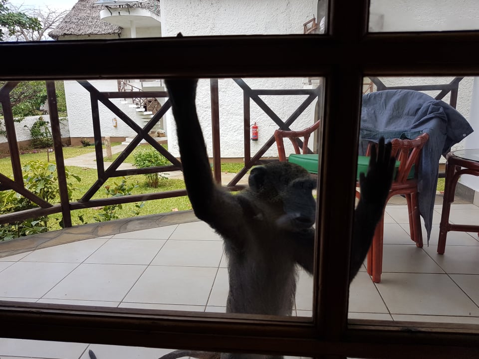 Zimmer Neptune Village Beach Resort & Spa