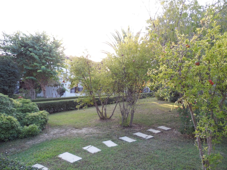 Wunderschöne Gartenanlage (10000 qm) Hotel Club Nena