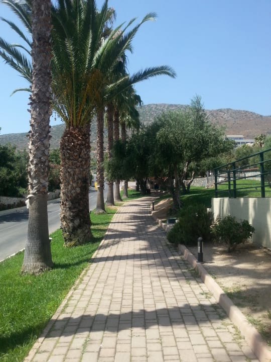 Teren hotelu Royal & Imperial Belvedere Resort