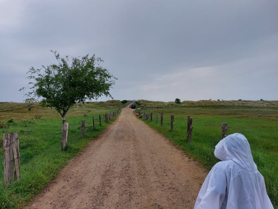 Strand Ferienwohnungen Ferienpark Weissenhäuser Strand