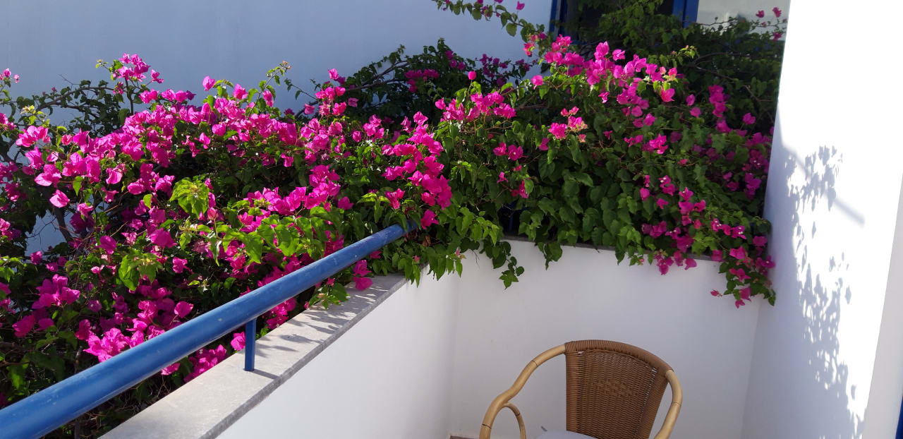 Zimmer Ekaterini Hotel