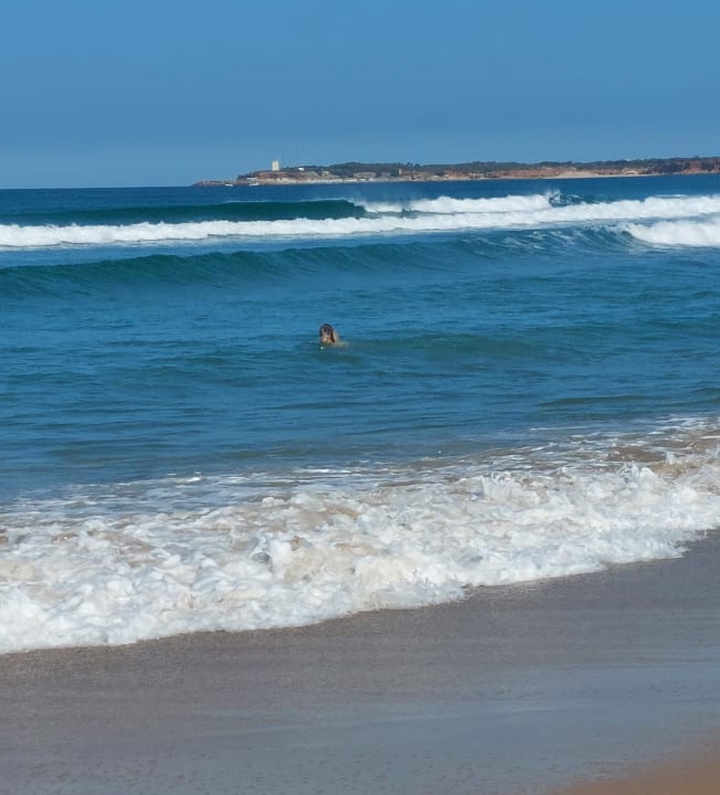 Strand Fuerte Costa Luz (Fuerte Conil-Resort)