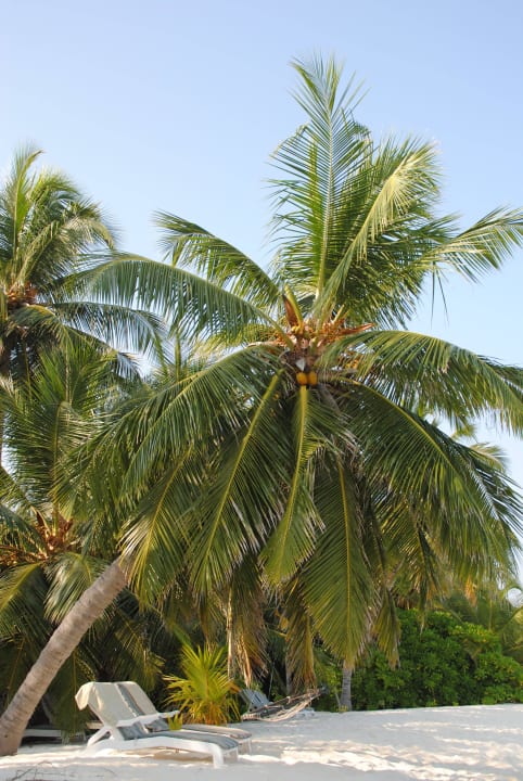 Strand vor Bungalow 330 an der Westseite Summer Island Maldives
