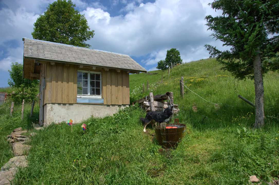 Sonstiges Bauernhof Itzenwaldhof