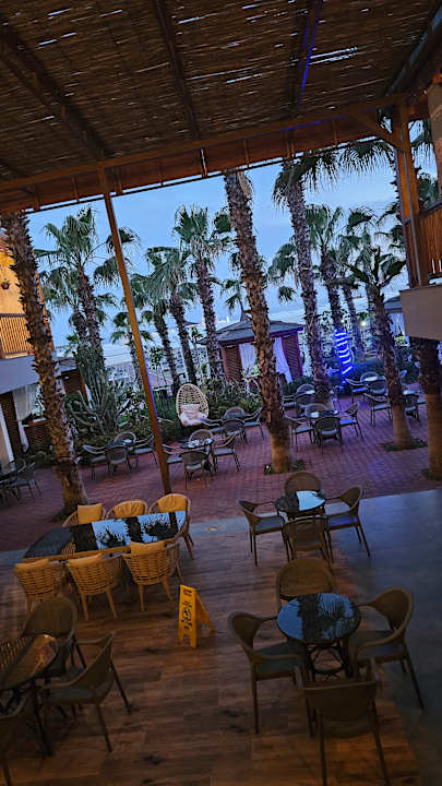 Pool Hotel Delphin Diva