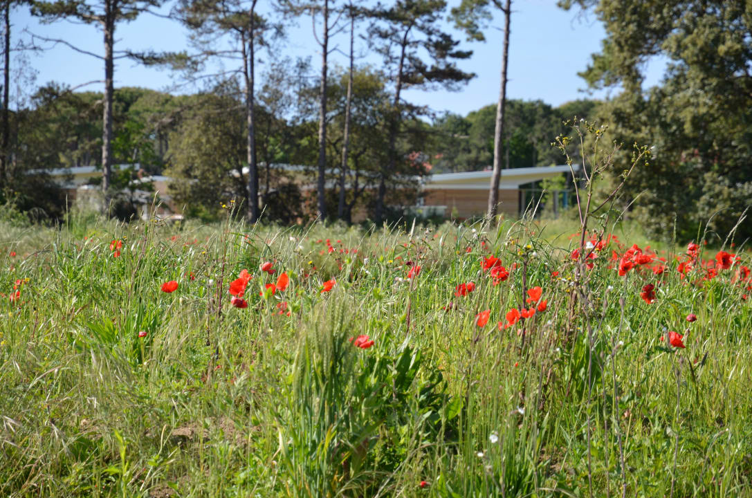 Gartenanlage Lino delle Fate - Eco Village Resort