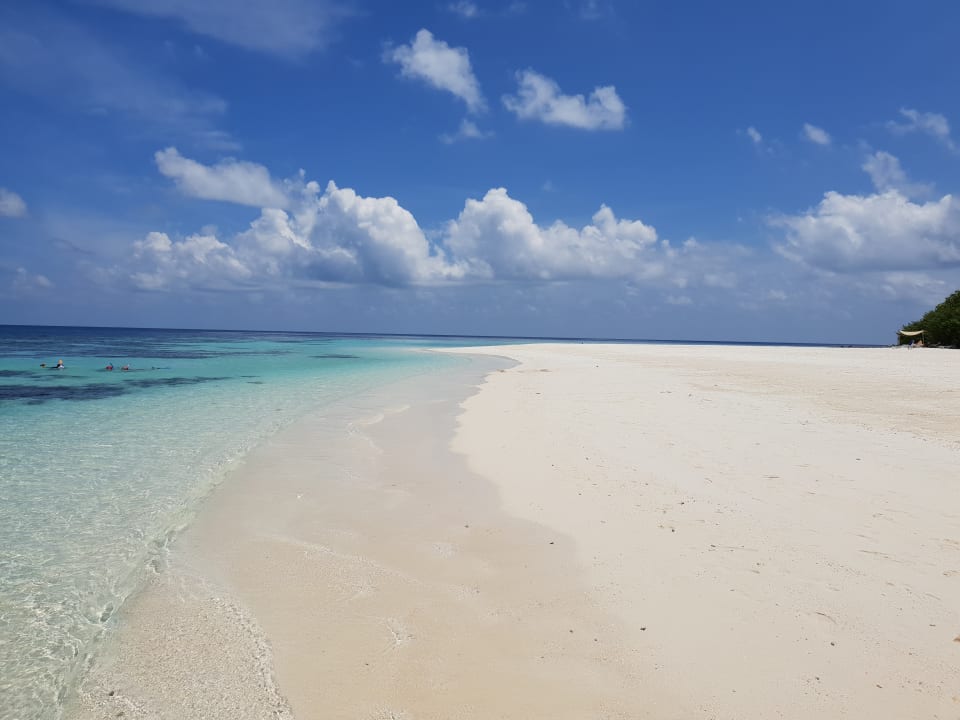 Strand Eri Maldives