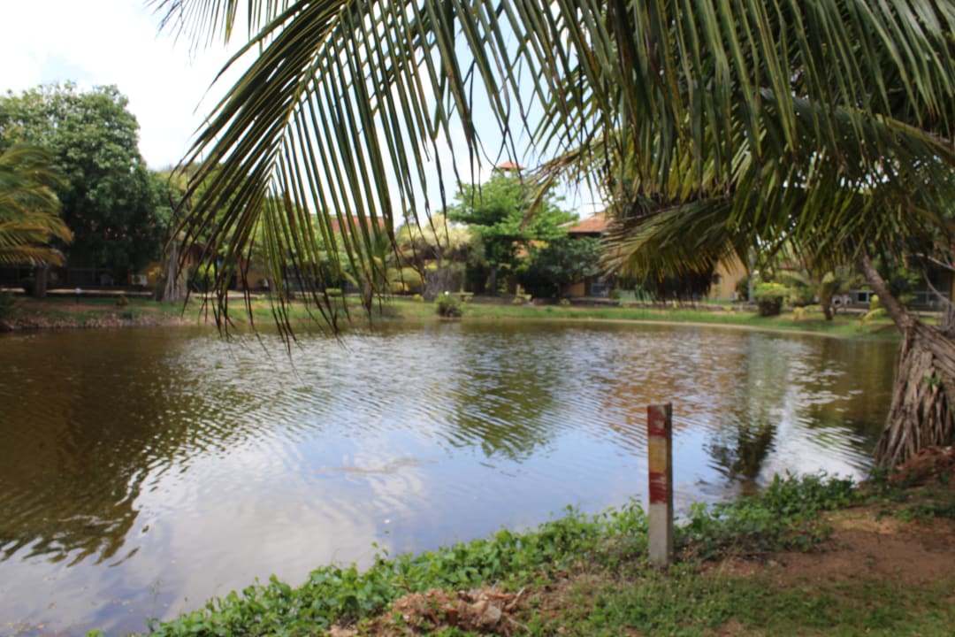 Außenansicht Club Palm Bay