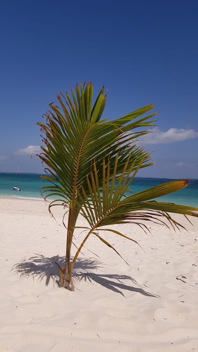 Strand Hotel Riu Jambo