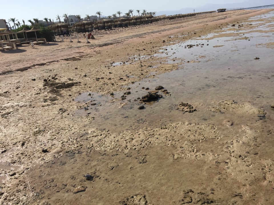 Strand Pickalbatros Royal Moderna Resort-Sharm El Sheikh