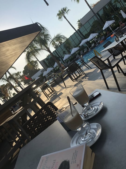 Gastro Acanthus Cennet Barut Collection