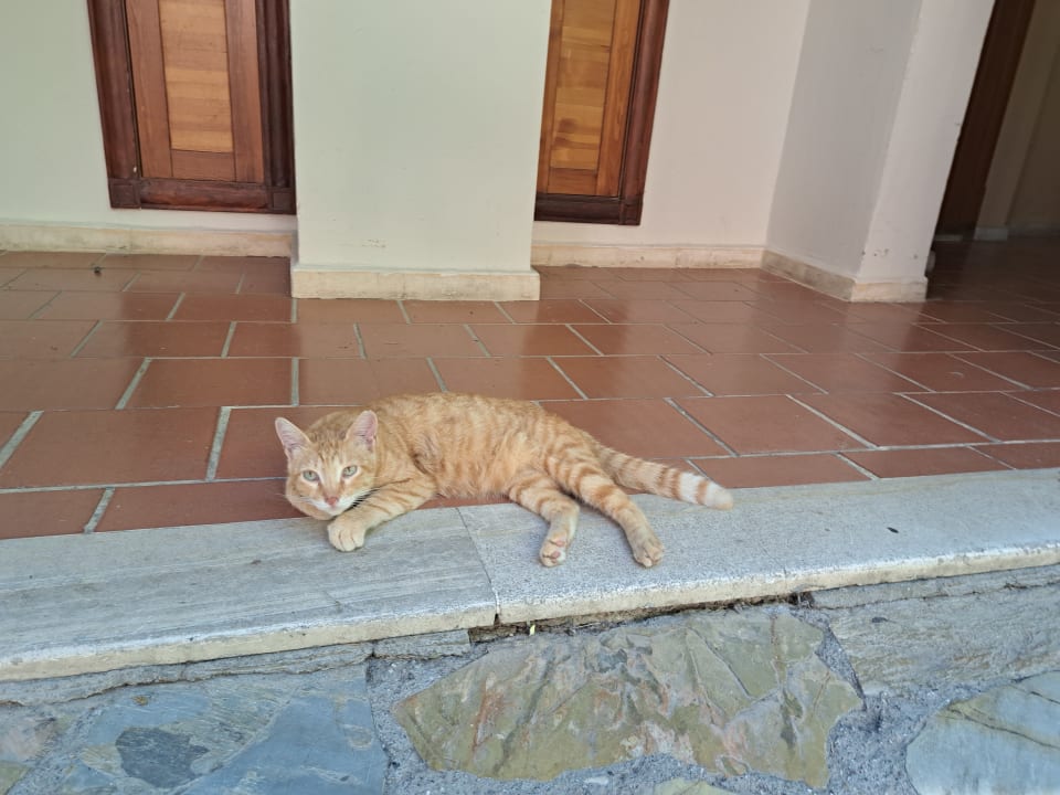 Sport & Freizeit Limak Limra Hotel & Resort