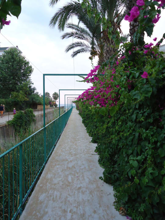 Weg zum Strand My Home Resort
