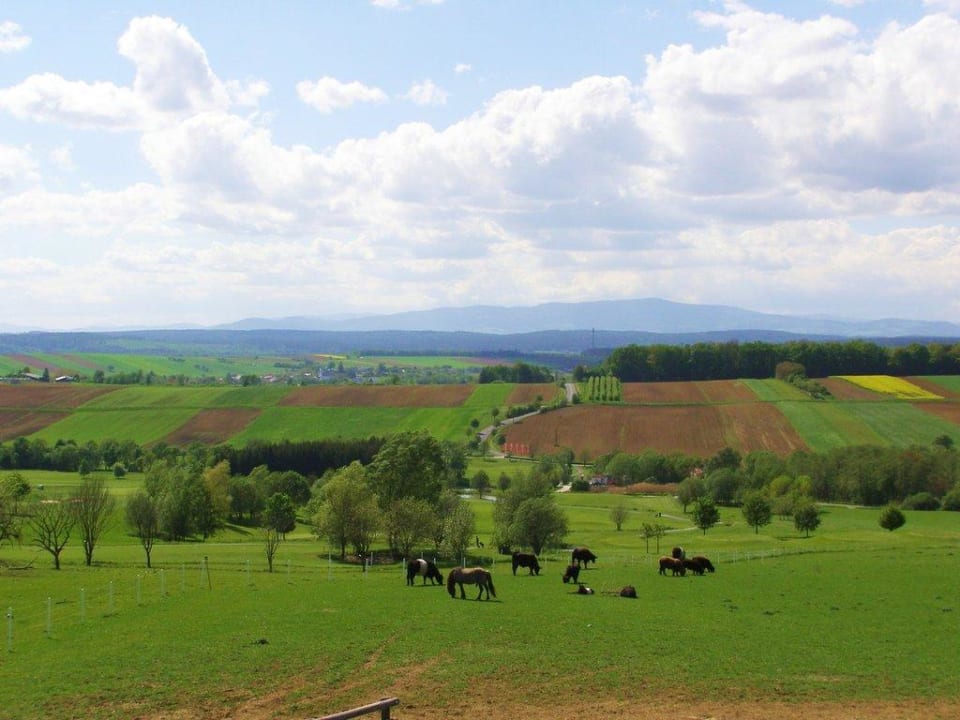 Umgebung Hotel Reiters Supreme