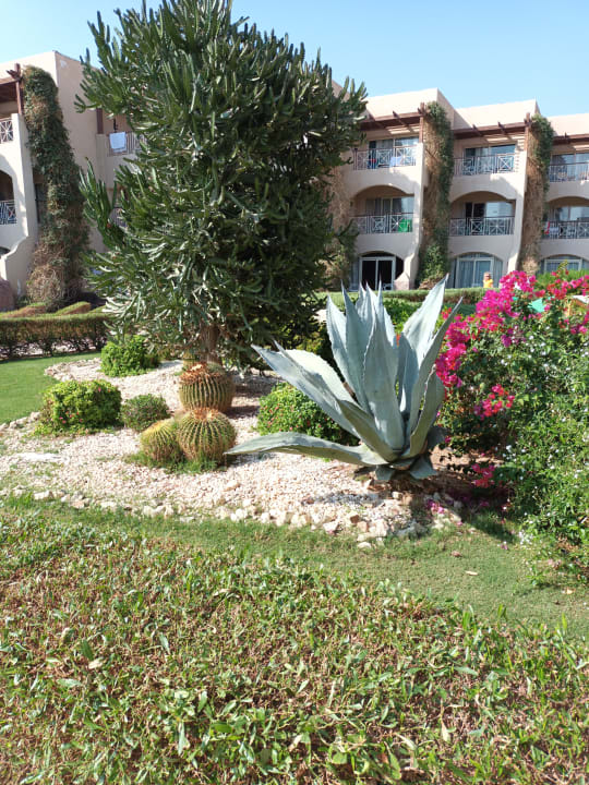 Gartenanlage Prima Life Makadi Resort