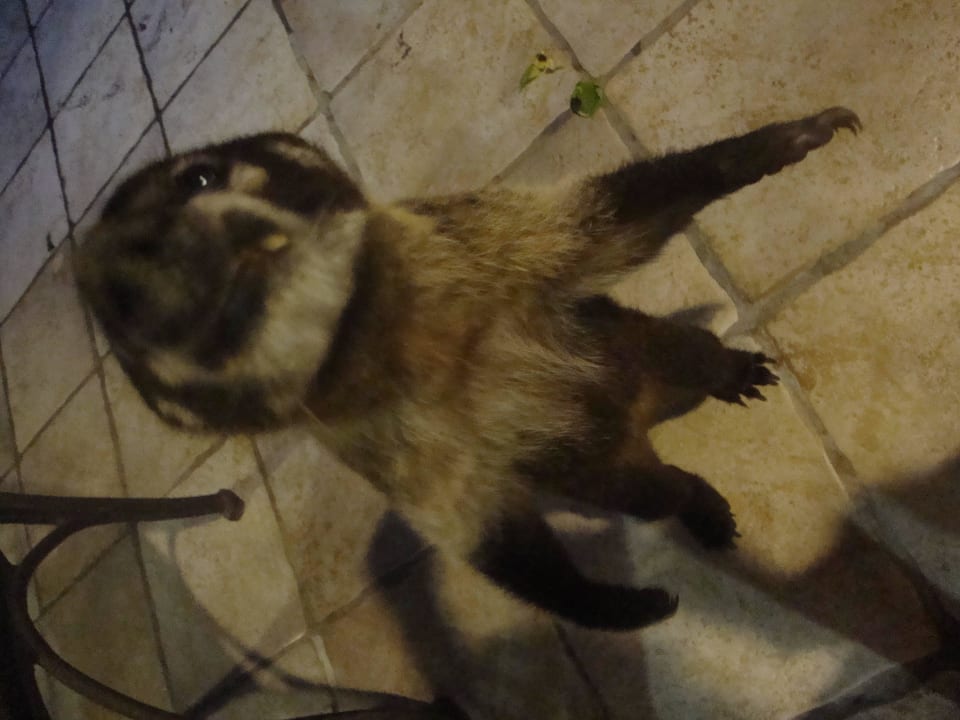 Hotel Catalonia Playa Maroma Catalonia Playa Maroma