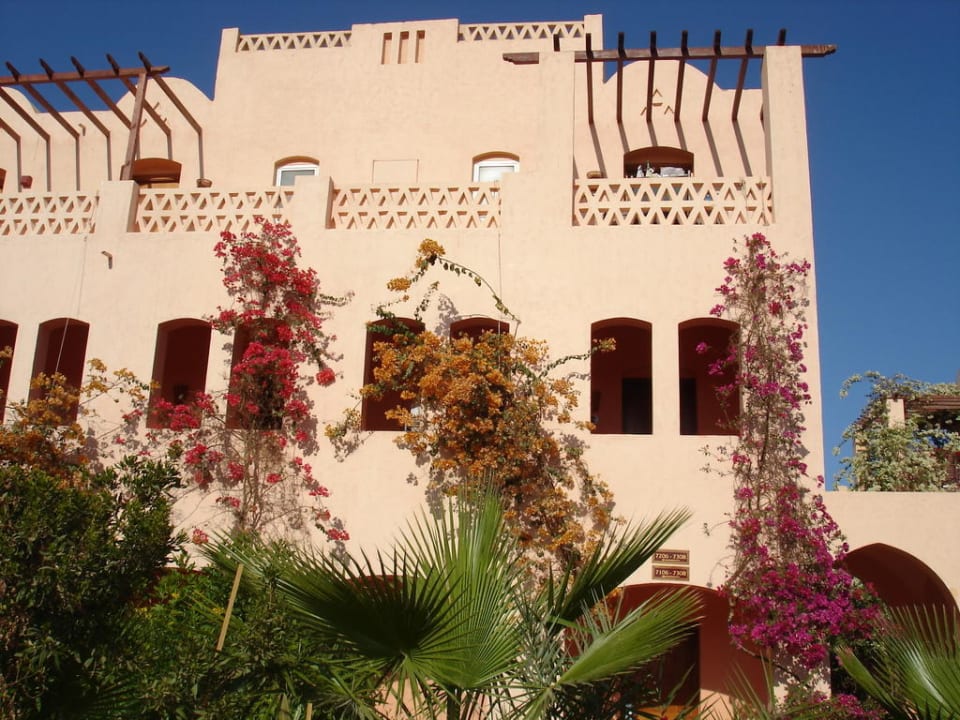 Hotel Jaz Makadi Oasis Resort