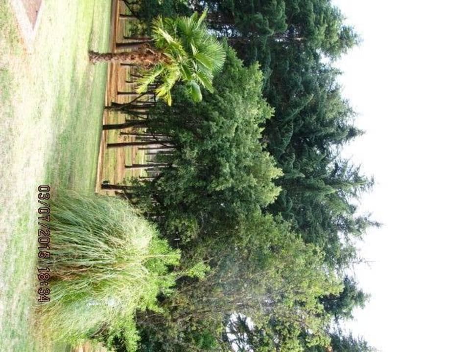 Blick vom Zimmer im 1Stock/ EG in den Garten Rubin Hotel