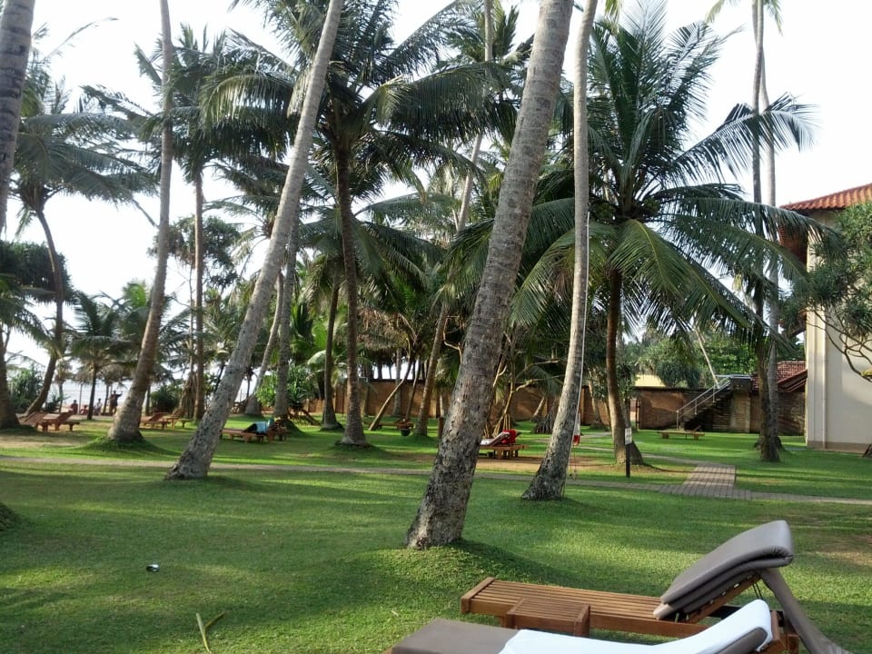 Zwischen Pool und Strand Mermaid Hotel & Club