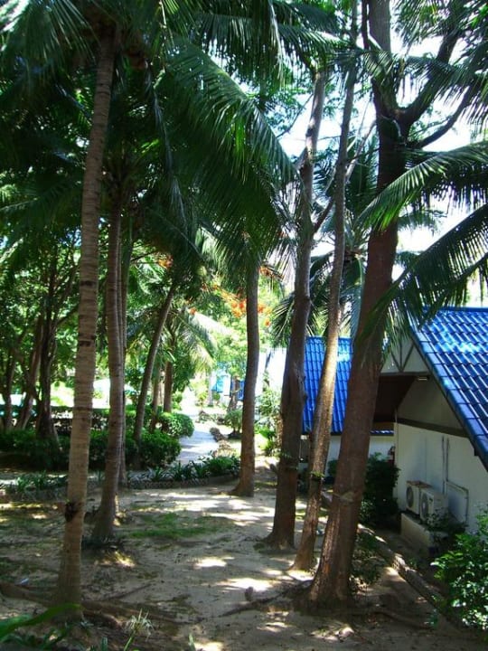 Vialetto verso il ristorante Hotel Coral Island Resort