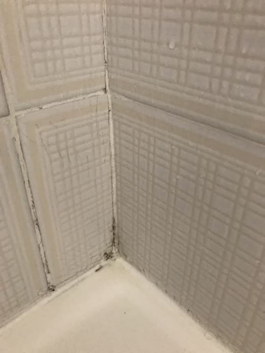 Zimmer Relaxia Olivina