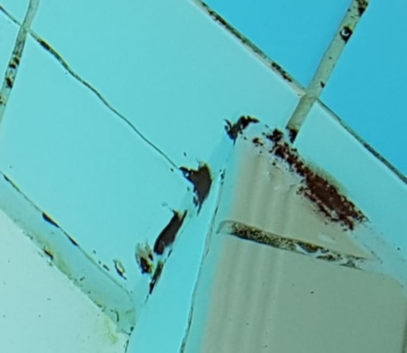 Pool DORMERO Hotel Bonn - Windhagen