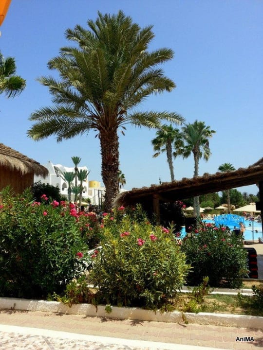 Bar Terrasse Hotel Seabel Aladin Djerba